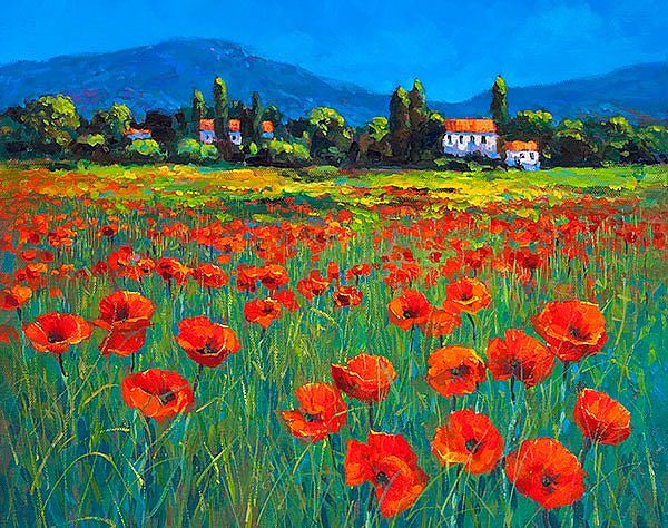 Chris McMorrow - Poppies in Provence - 468