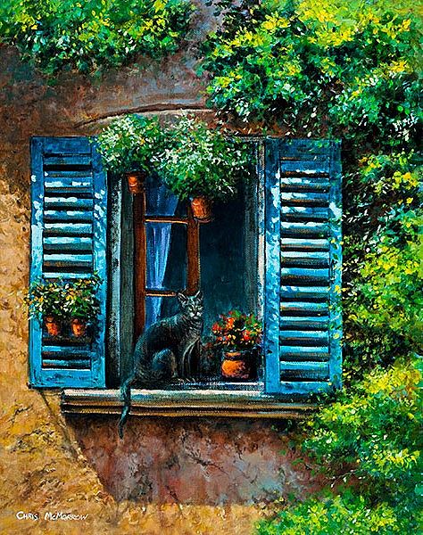 Chris McMorrow - Cat with Blue Shutters, Provence - 585