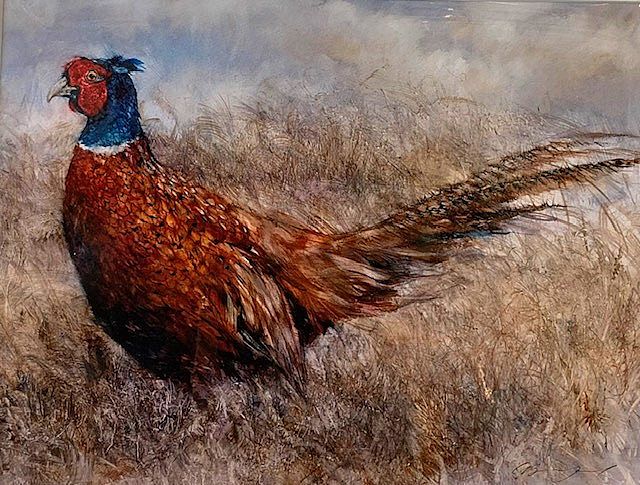 Gary Benfield - Pheasant