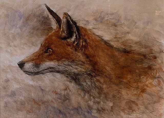 Gary Benfield - Red fox II